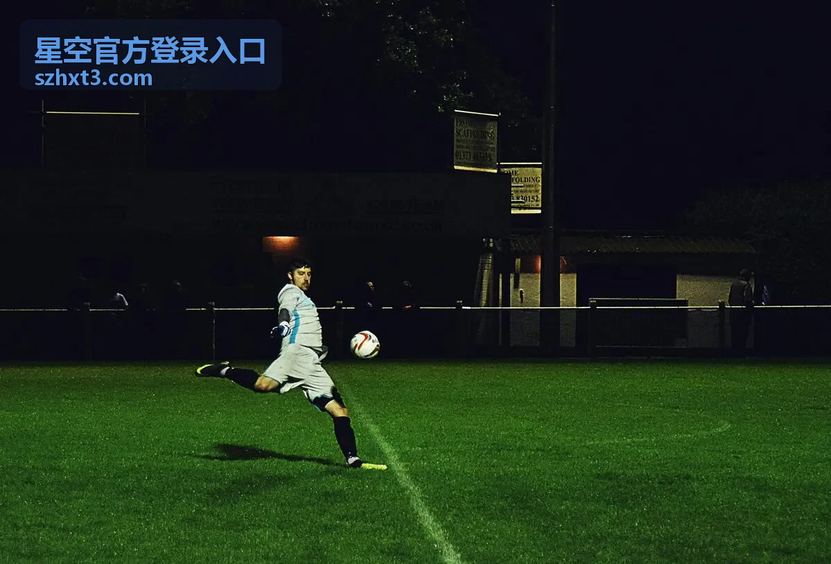 手机与平板打开星空官方登录入口的方式
