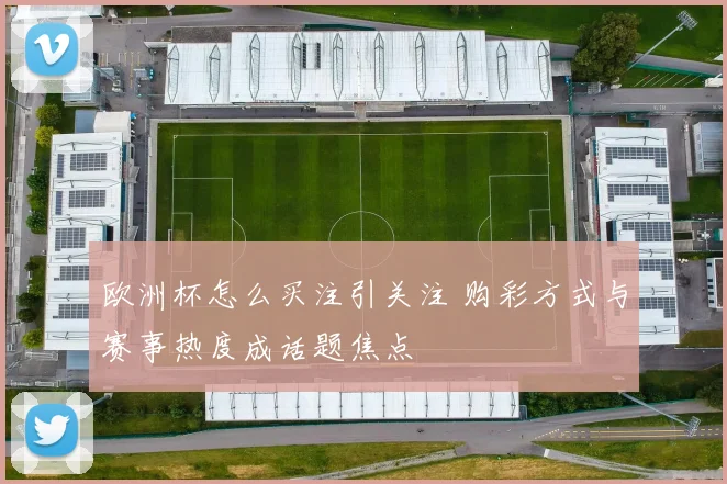 欧洲杯怎么买注引关注 购彩方式与赛事热度成话题焦点