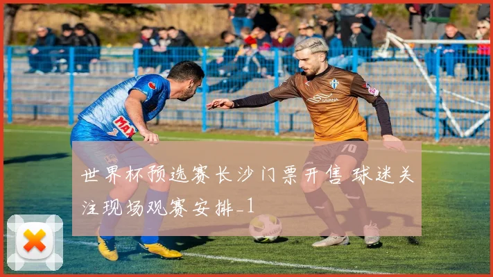 世界杯预选赛长沙门票开售 球迷关注现场观赛安排_1
