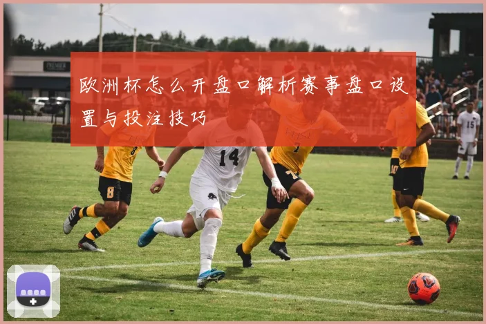 欧洲杯怎么开盘口解析赛事盘口设置与投注技巧