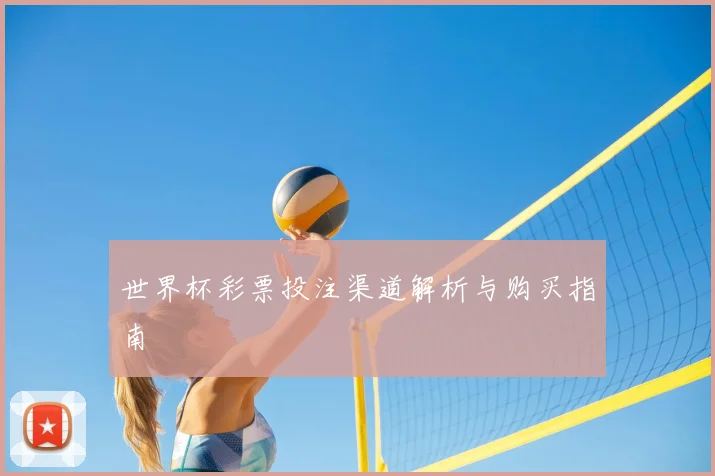 世界杯彩票投注渠道解析与购买指南